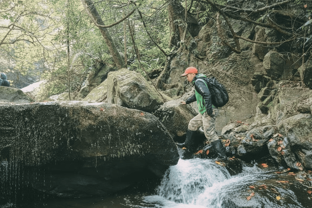 Có nhiều tour trekking với cấp độ khó khác nhau, phù hợp cho du khách muốn khám phá thiên nhiên hoang dã